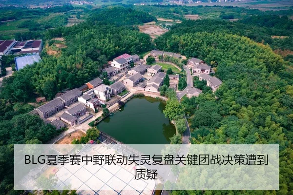 BLG夏季赛中野联动失灵复盘关键团战决策遭到质疑